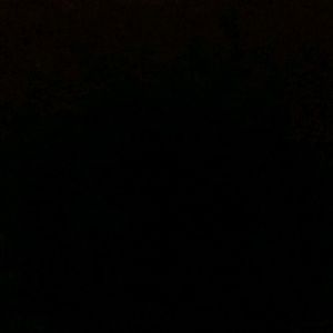 Meet your Posher, Calvin